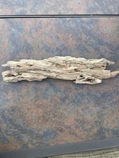 Natural Driftwood for Plants Terrarium Taxidermy Art Projects