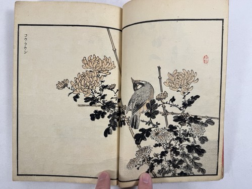 Japanese Woodblock Print Book “Bairei Hyakucho Gafu” Vol.① Kono Bairei Bird 1881 - Imagen 15 de 24