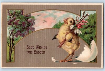 Easter Postcard Hatched Egg Baby Chick With Flowers Pipe Berry Embossed c1910's