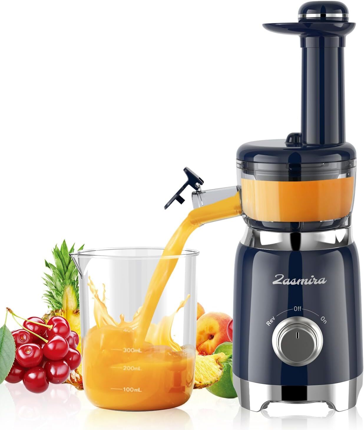 Cold Press Juicer, ZASMIRA Juicer Machines for Vegetable and Fruit