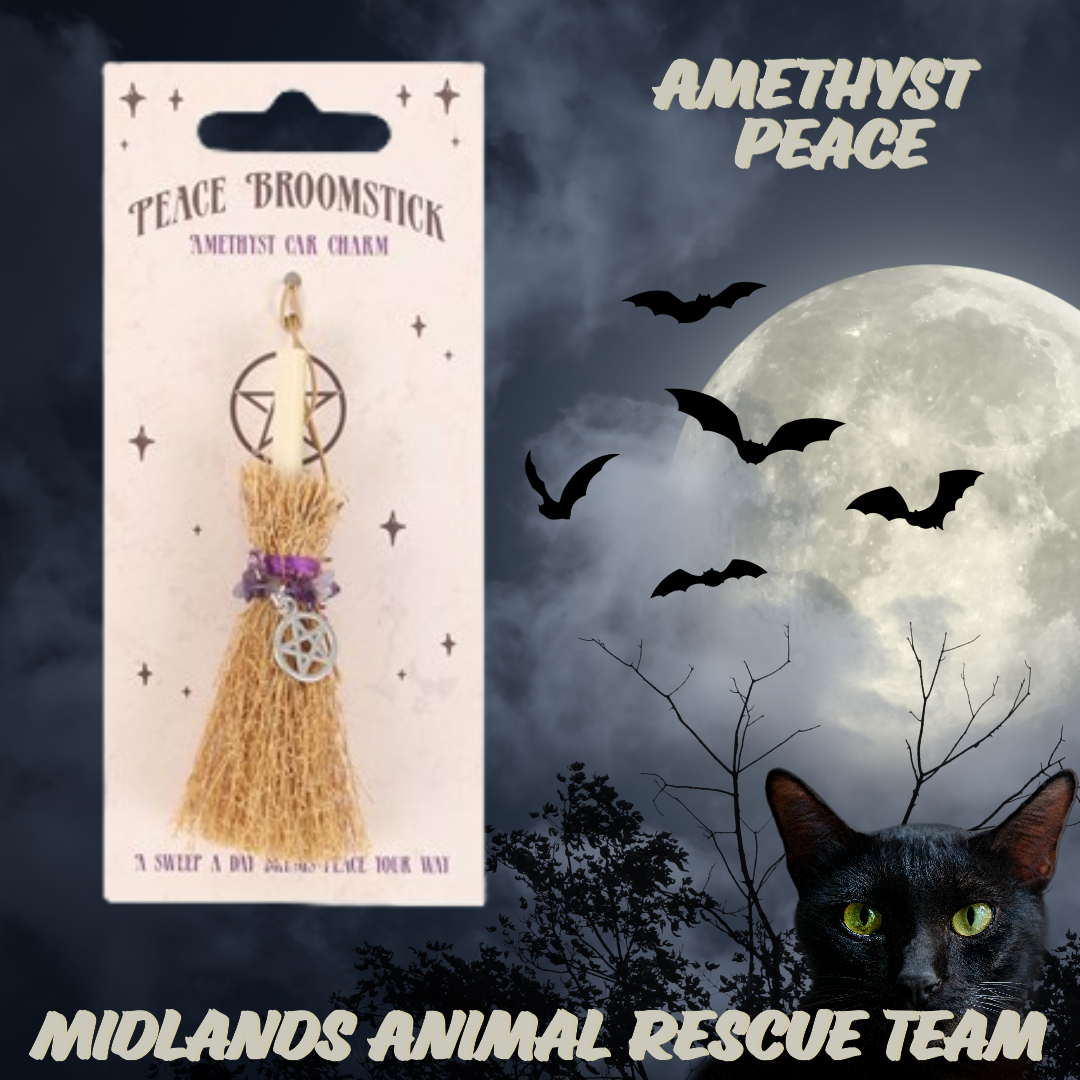 Crystal Broomstick Car Charm - Peace - Amethyst - Sale For Our Animal Charity