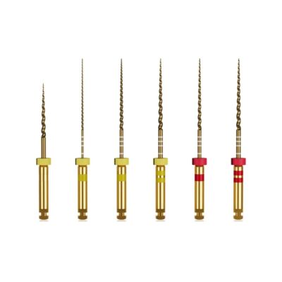 Waldent Wal flex Gold Rotary Files 21mm for Root Canal Shaping and Treatment