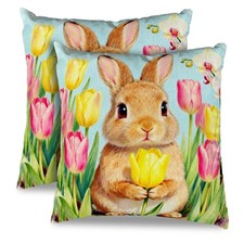 kaiwern 2Pcs Easter Decorative Pillow Covers 18x18 18" x Pack of 2 , 05