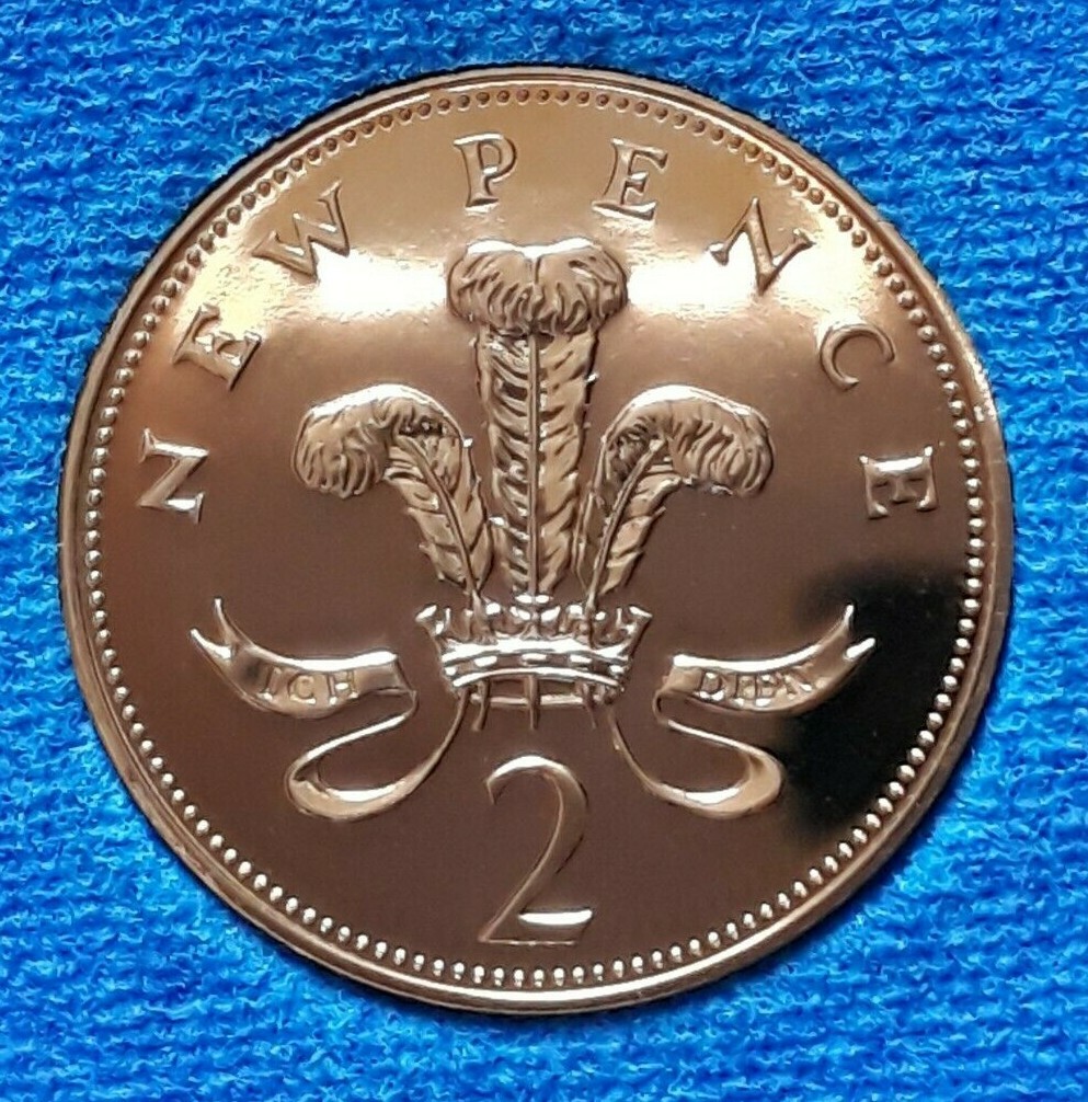 Picture 5 of 65