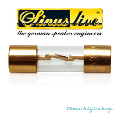 SinusLive 60 Ampere AGU Sicherung SG Glassicherung für Auto Sicherungshalter 60A