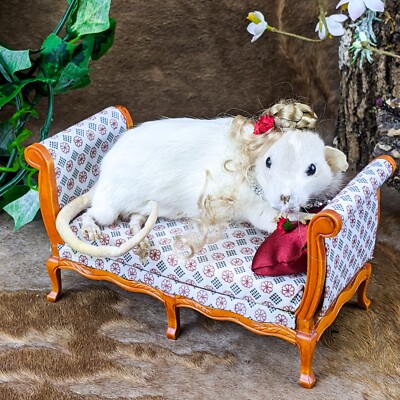 J5 Titanic Rat Lounge Diva Model Rich Taxidermy Oddities Curiosities Decor 