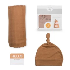 Hercules GSP39WB Plus Wall Mount Guitar Hanger with Auto Grip System