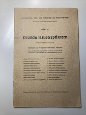 30er Jahre Deutsche Hausteepflanzen Heil- & Nährkräfte aus Wald & Flur 3 / Tee