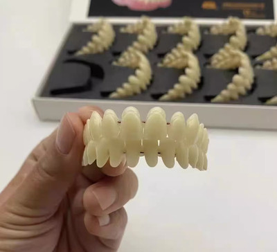 10pcs Teaching Dental Model Synthetic Acrylic Resin Teeth Dental Materials