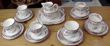Royal Grafton Tea Set Pink & Floral x 21 Pieces