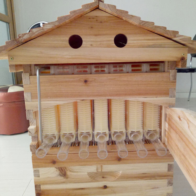 Auto Seeping Langstroth Bee Hives Honey House + 7 Beekeeping Frames + Hive Stand