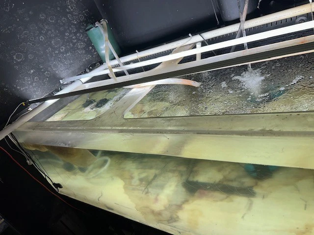 PECERA ACRÍLICA 600 GALONES Y SUMA Foto 3 de 4