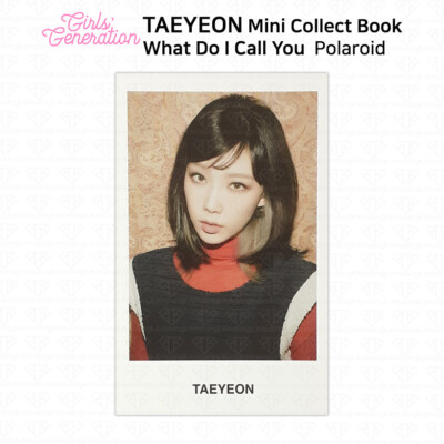 SNSD Taeyeon Mini Collect Book What Do I Call You Binder Polaroid