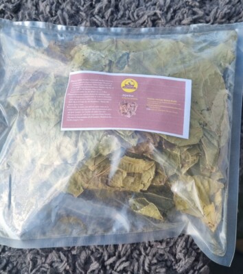 Djeka leaves- 'Alchornea cordifolia' - Feuilles de Djeka  50g 