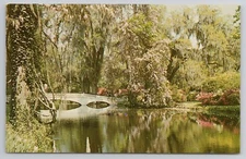 Postcard Magnolia Gardens Charleston South Carolina SC