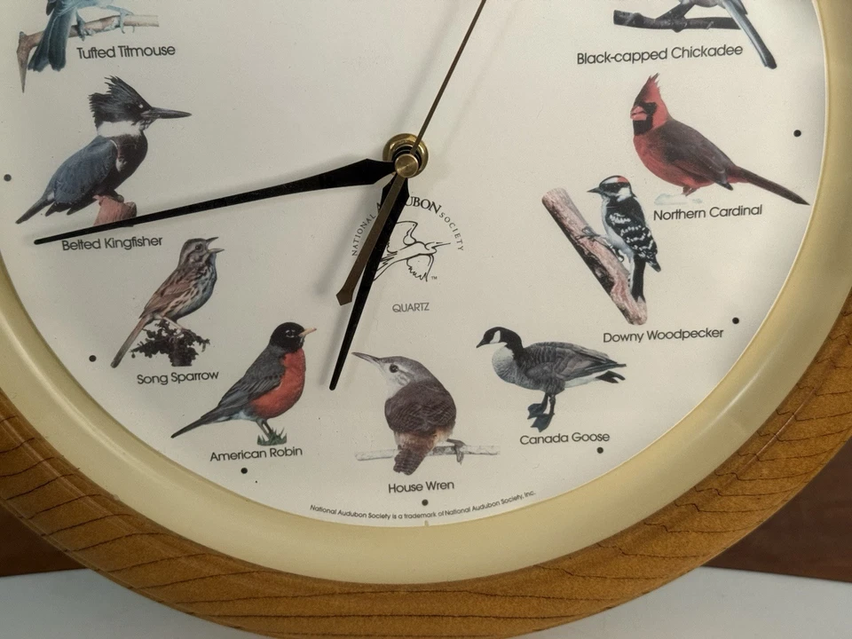 ¡Funciona! Reloj de pared de cuarzo con llamada de sonido de canto de pájaro National Audubon Society  Foto 3 de 4