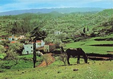 SPAIN PUNTAGORDA ISLAND OF SAN MIGUEL DE LA PALMA CANARYAS