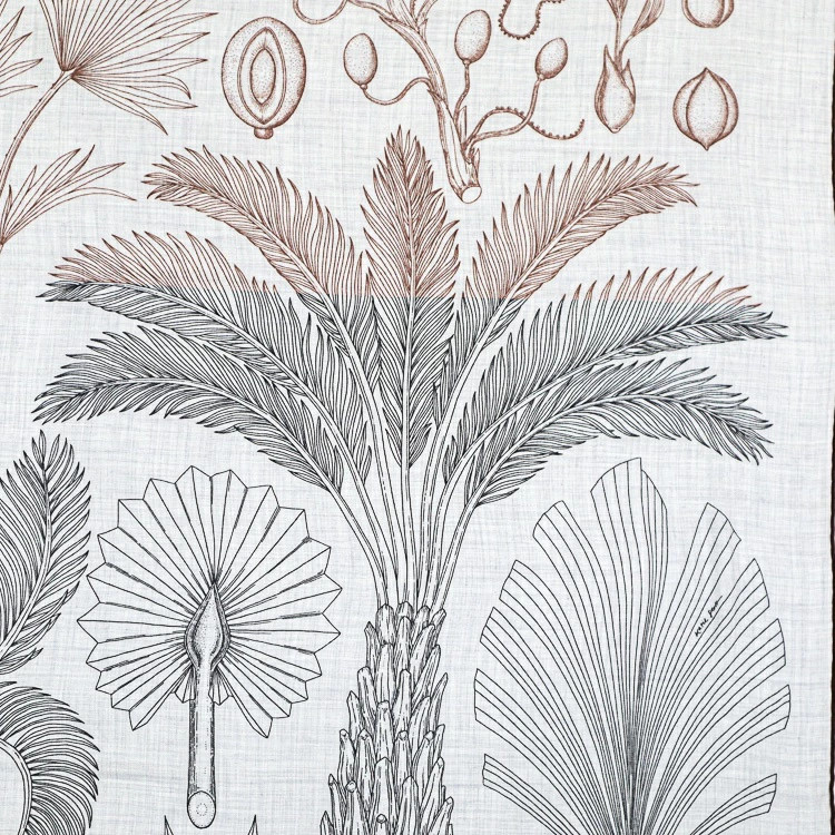 Hermes Carrege en Carre 140 INDEX PALMARUM Palm Catalog Cassil Large Stol thumbnail 2