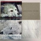 Wolf's Rain Ost Original Soundtrack 2-Piece Set Anime Yoko Kanno Audio Cd Used