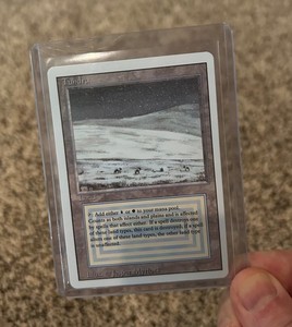 Magic The Gathering Tundra | eBay