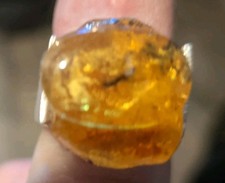 SIZE 8 925 STERLING SILVER RING WITH BALTIC AMBER CONTAINING MULTI MILLION YEAR