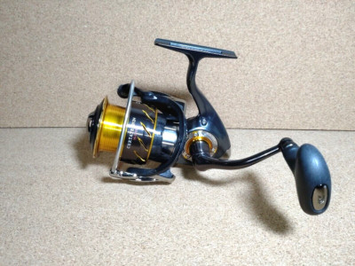 DAIWA 13 CERTATE 3012H Spinning Fishing Reel | eBay