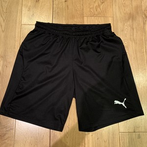 puma shorts mens