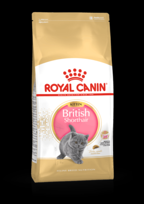 ROYAL CANIN British Shorthair Kitten Dry Food 2kg UK