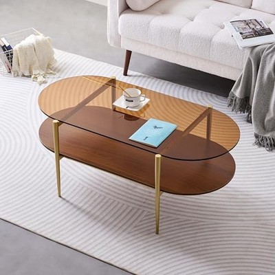 Oval Glass Coffee Table, Mid-Century L41