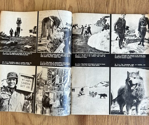 Arctic War Norway's role On The Northern front WW2 Book M10 - Imagen 4 de 9