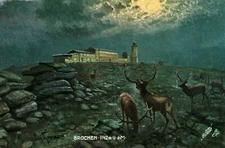 AK* chunks 1142 m above sea level - Toilette - Artist Card (AB)70074