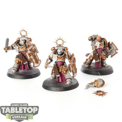 Space Marines - 3x Bladeguard Veteran Squad - bemalt