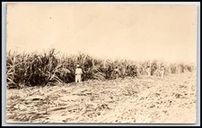 Postcard RPPC Men In Field   W93