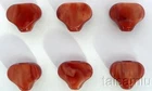 Acrylic MINI SIZE button only Fit Gotoh Machine Head Amber Red 6p FR10R