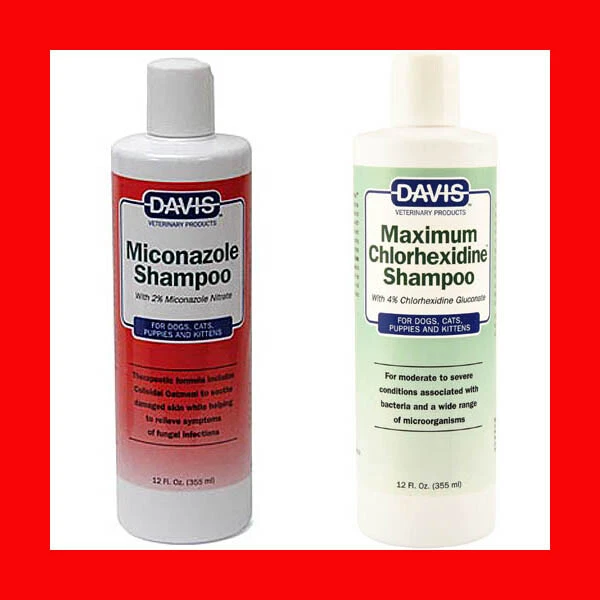 Maximum chlorhexidine shampoo 2025