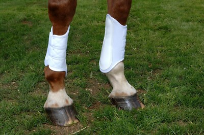 NEU Kitt Kool Air Tech schützende Bürstenstiefel weiß Dressur Pony Pferd 