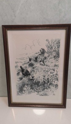 1953 Dänische Lithographie Leif Ragn Jensen Spiel English Springer Spaniel signiert