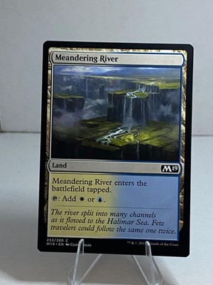 Meandering River 253 Common Core Set 2019 Near Mint