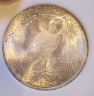 1923 Peace Silver Dollar - UNC, bright luster, frosty,  5226