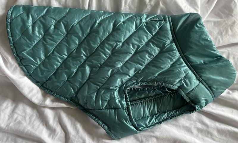 Frisco Lightweight Packable Insulated Dog Quilted Puffer Coat, Ocean Teal, Med.