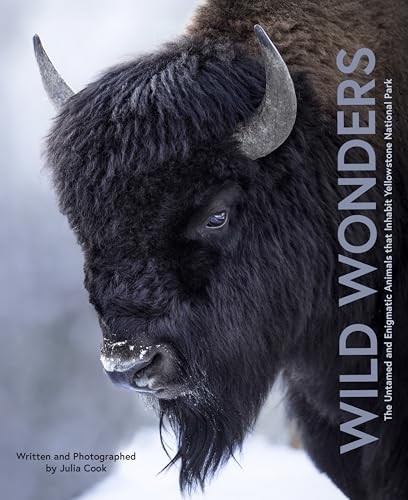 Wild Wonders: The Untamed and Enigmatic Animals that Inhabit Yellowstone National Park - Image 6