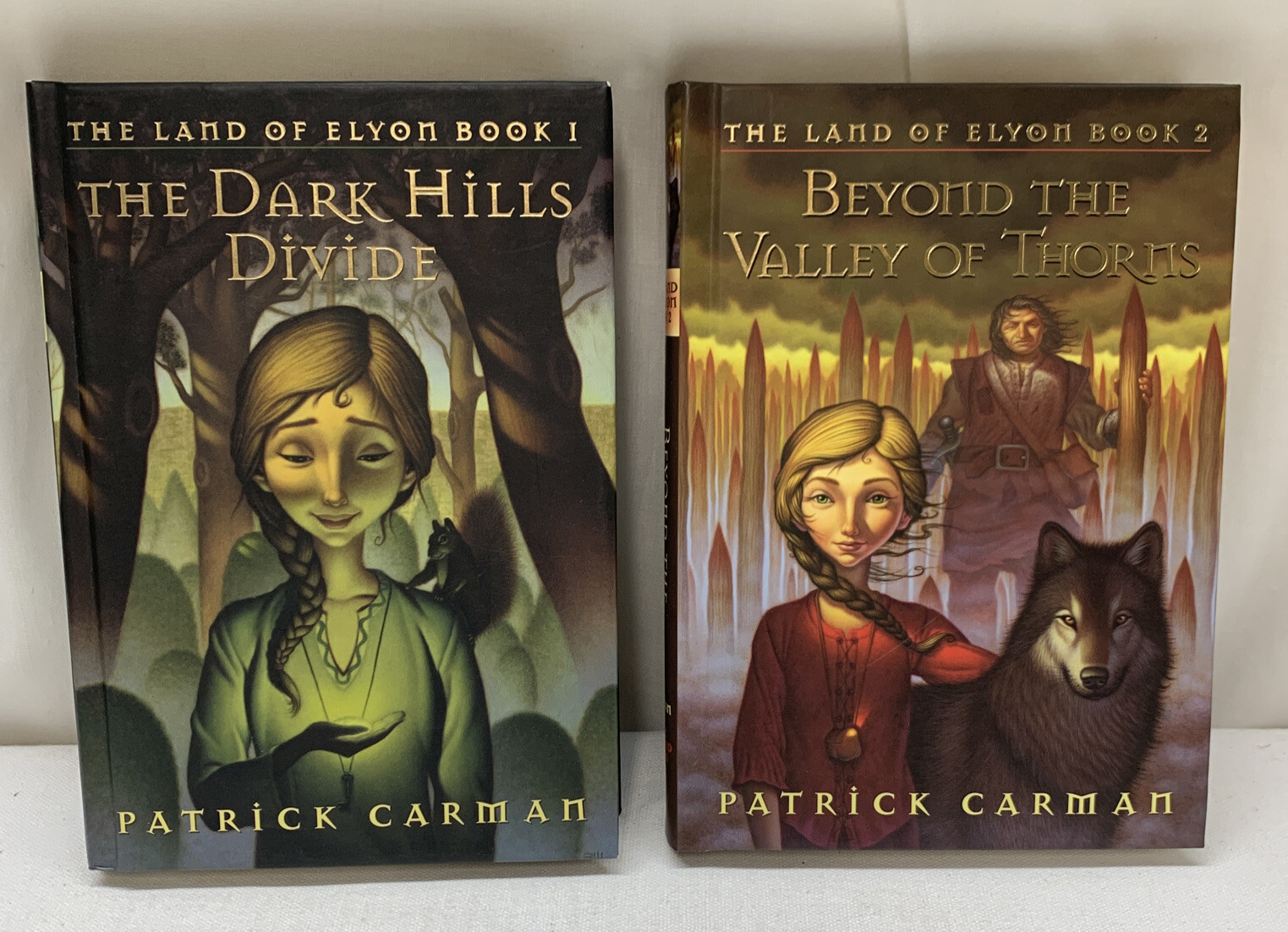 The Land Of Elyon Books Dark Hills Divide Beyond Valley Of Thorns eBay