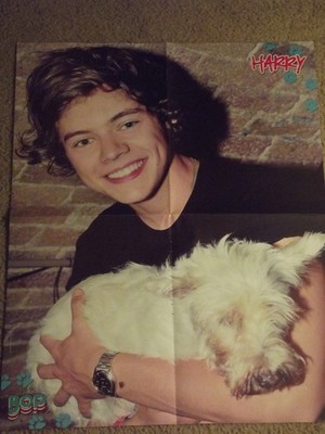 *NEW* Bop Magazine Harry Styles with dog Centerfold & Justin Bieber Poster