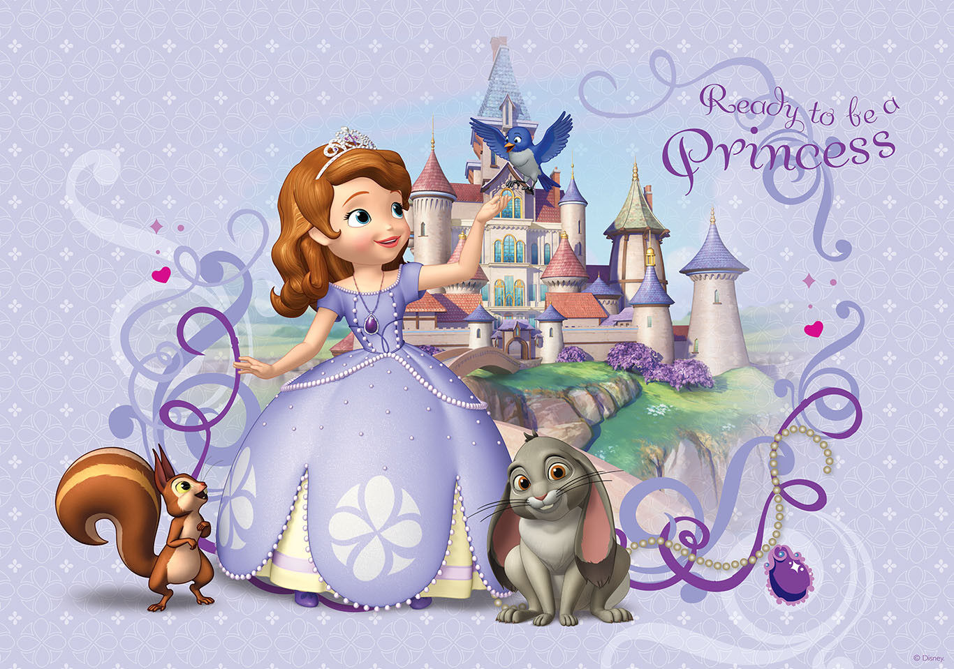 Princesa Sofia  Disney princess sofia, Princess sofia the first