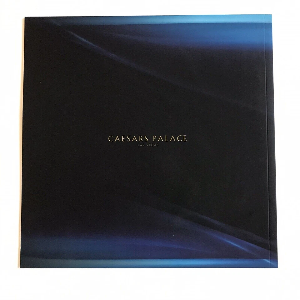 Programa de livro Celine Dion evento especial concerto fibrose cística Las Vegas privado - Imagem 3 de 3