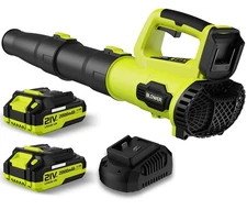 Leaf Blower, 21V Cordless Electric Blower with 2 2.0Ah Batteries and 1 Hour F...