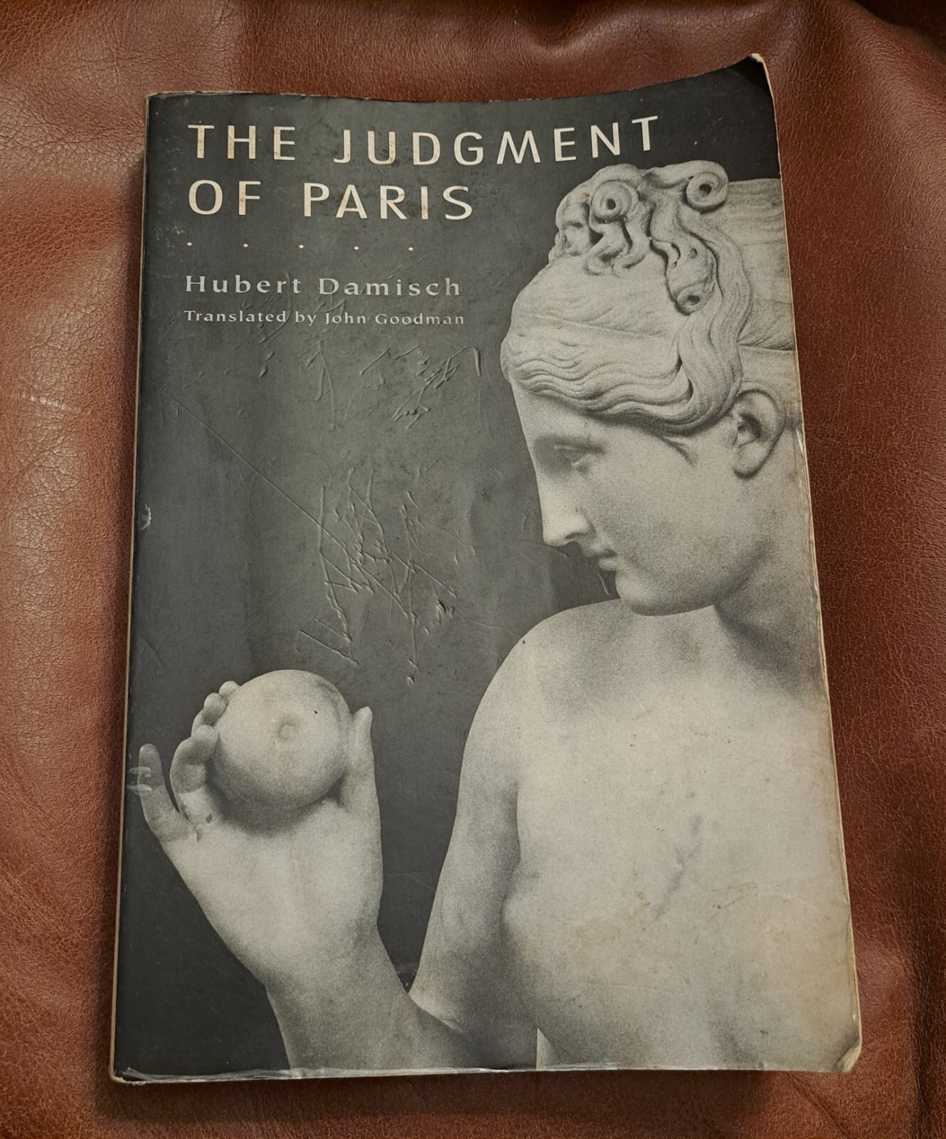 The Judgment of Paris by Hubert Damisch (Paperback, 1996)