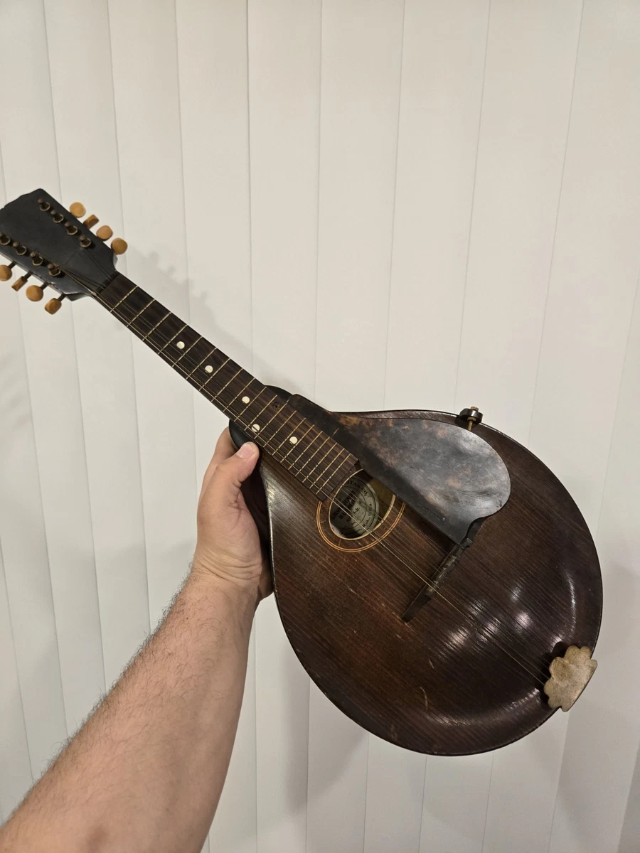 【値下げ！】Gibson ビンテージ マンドリン ペグ 1900〜1910年代 Gibson Vintage Mandolins for sale | eBay