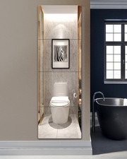 Unbreakable Full Length Wall Mirror,Over The Door mirror,Extra Thick 1/8",56"...