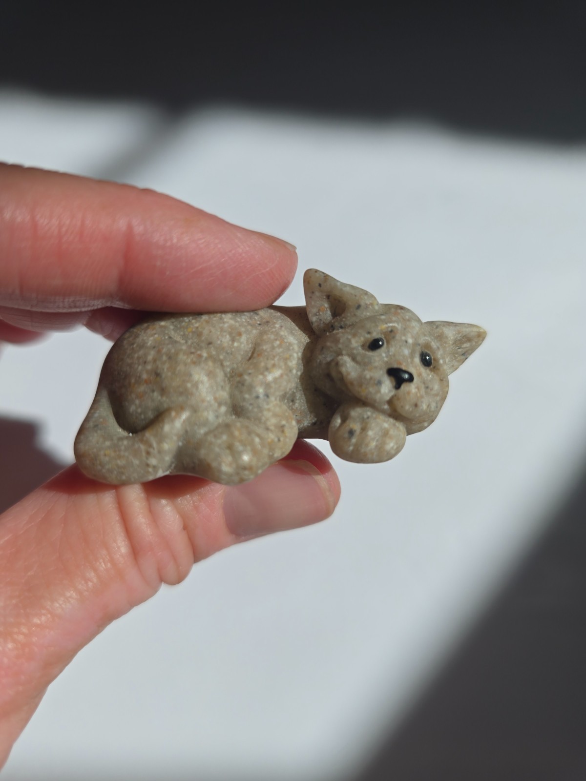 Quarry Critters 
